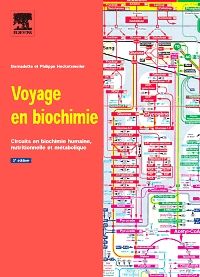 Voyage en biochimie