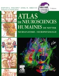 Atlas de neurosciences humaines de Netter