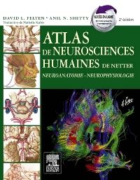 Atlas de neurosciences humaines de Netter