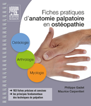 Fiches pratiques d'anatomie palpatoire en ostéopathie