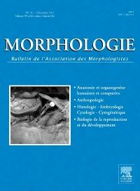 Morphologie