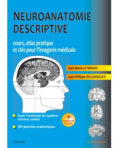 Neuroanatomie descriptive