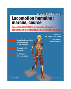 Locomotion humaine : marche, course