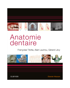 Anatomie dentaire