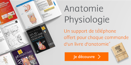 Manuel, fiches, coloriage : tous les outils pour comprendre et mémoriser